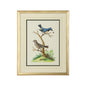 Cain Birds Gold Wood Framed Artwork-Framed Wall Art-Chelsea House-Birds E-LOOMLAN