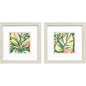 Candy Tropicals Pink Framed Wall Art 2PC