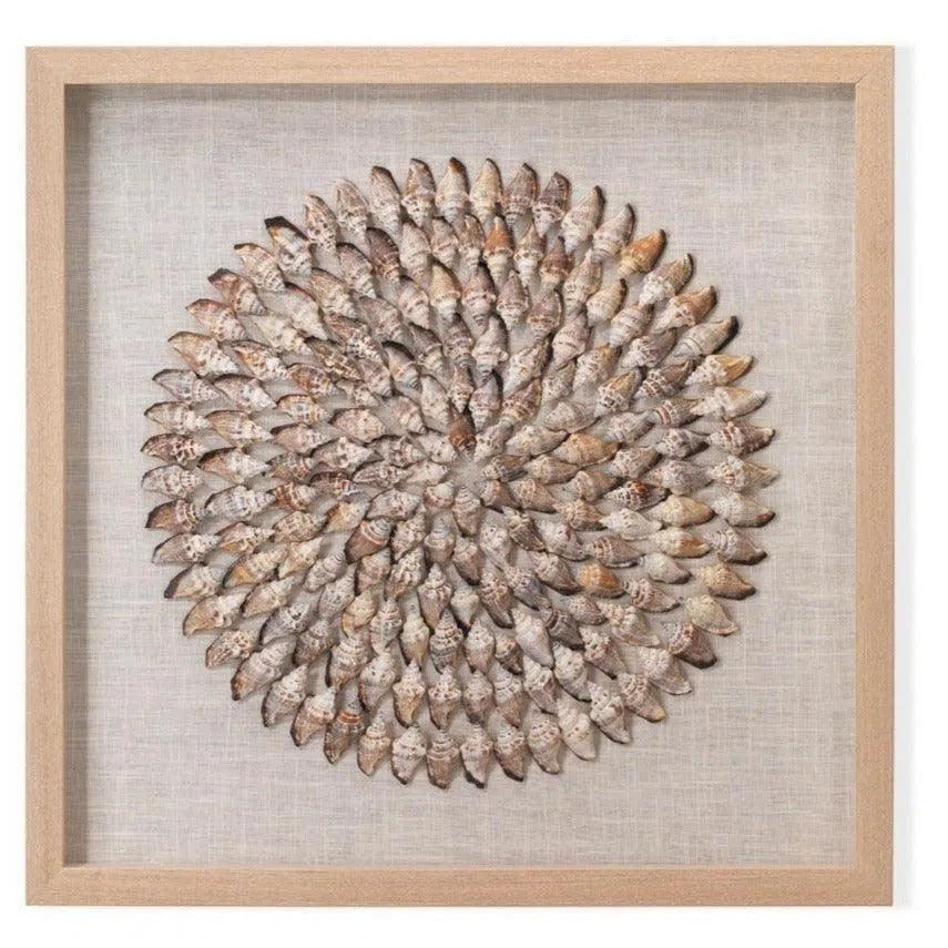 Coastal Style Beige Conch Shells Riviera d Wall Art-Framed Wall Art-Jamie Young-LOOMLAN