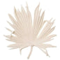 Coastal Style White Polyresin Island Leaf Object - LOOMLAN - Jamie Young - Statues & Sculptures