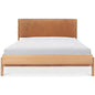 Colby Leather and Wood Camel Bed - LOOMLAN - Moe's Home - Beds