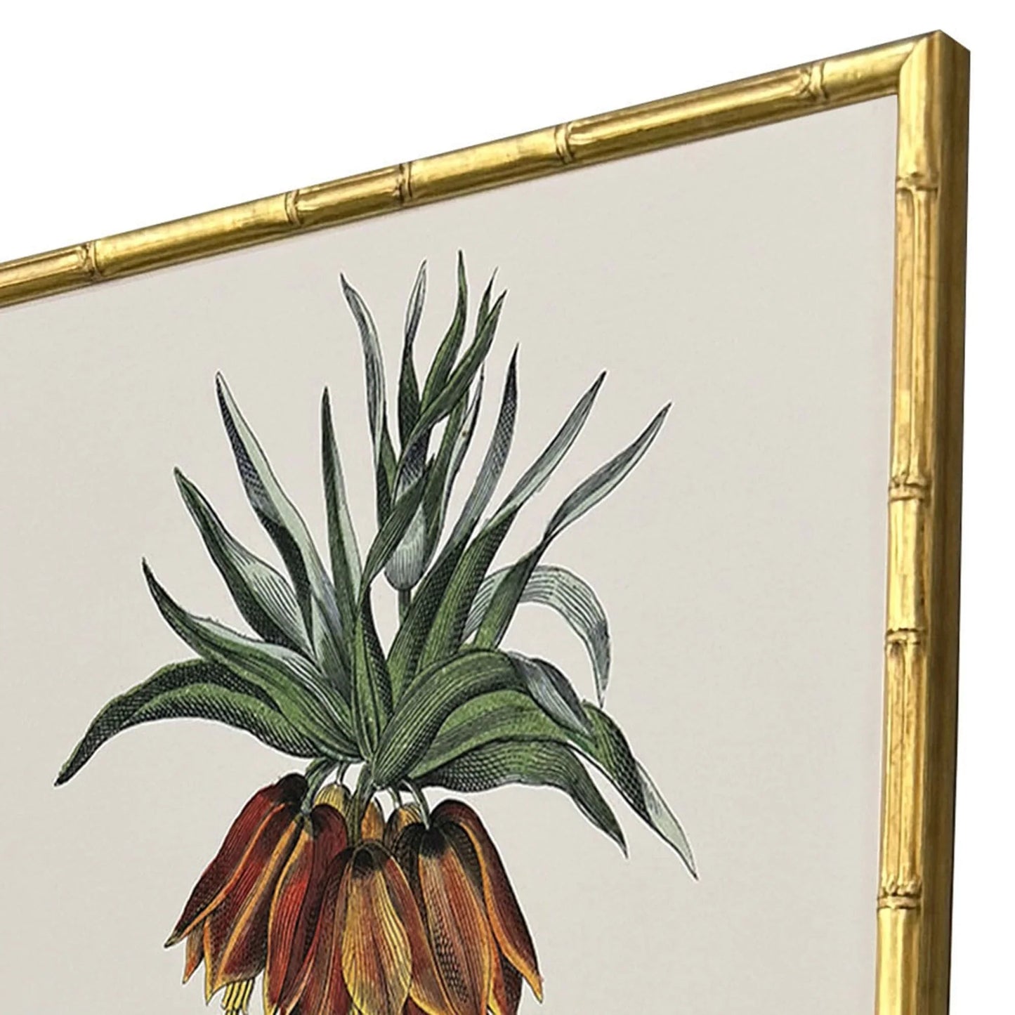 Contemporary Palm I Framed Wall Art 4PC