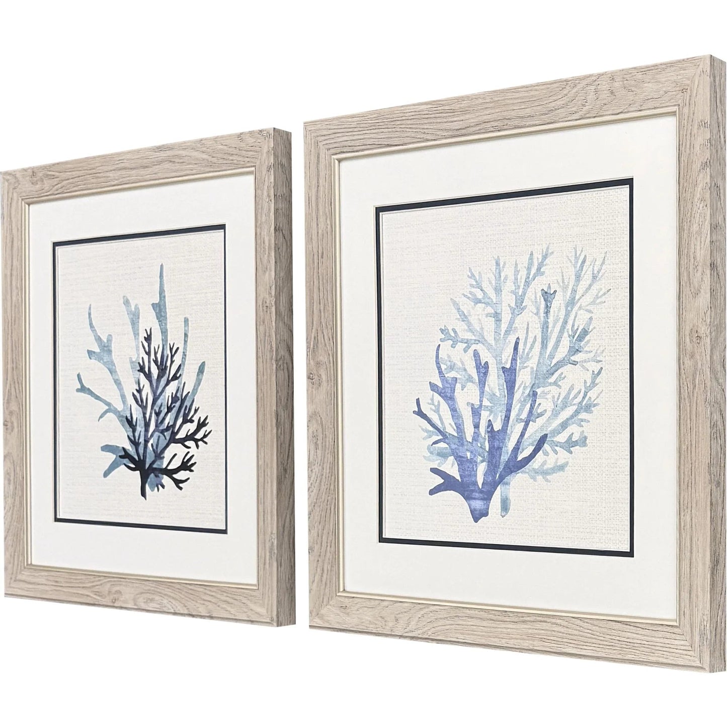 Coral Shades Blue Framed Wall Art 2PC