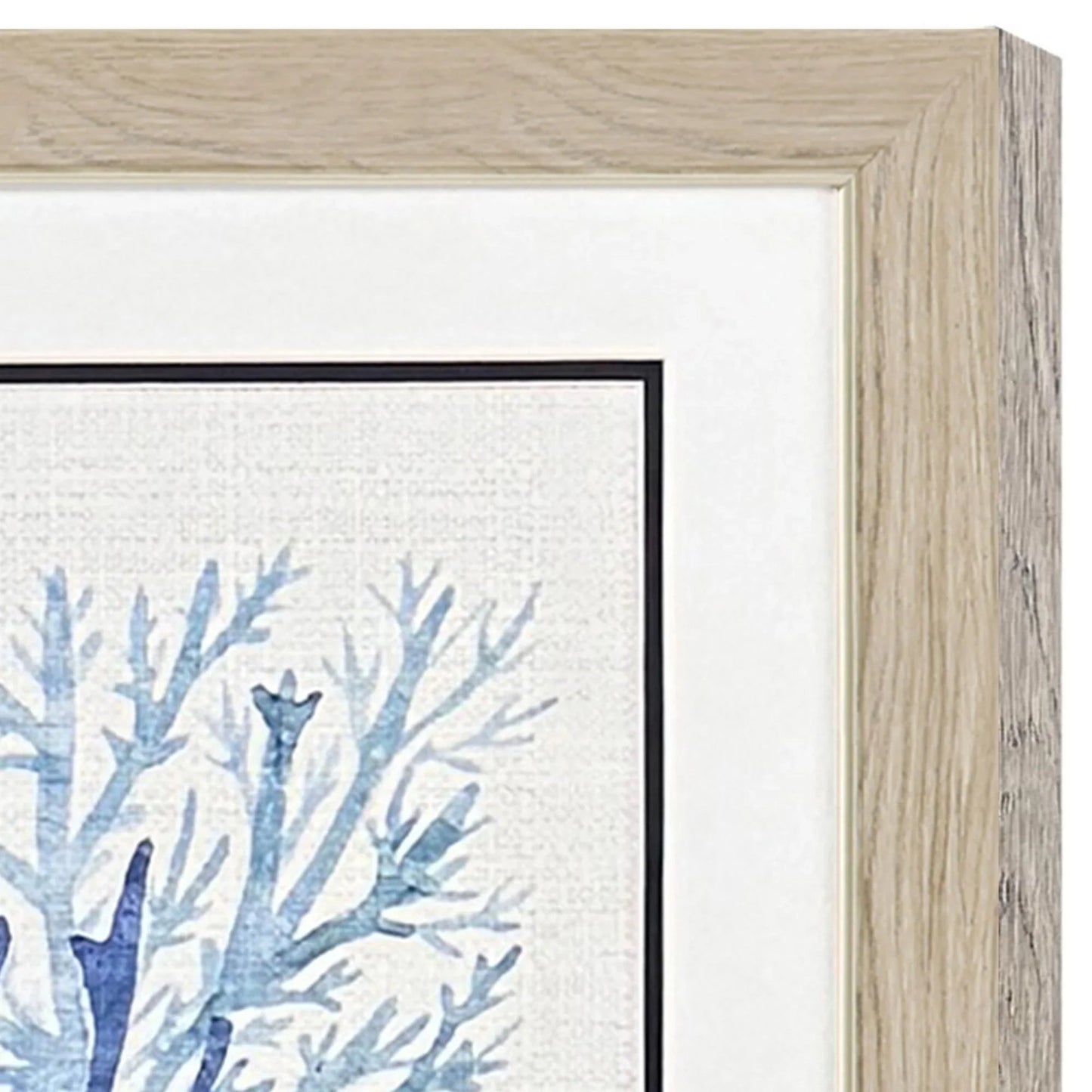 Coral Shades Blue Framed Wall Art 2PC