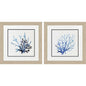 Coral Shades Blue Framed Wall Art 2PC