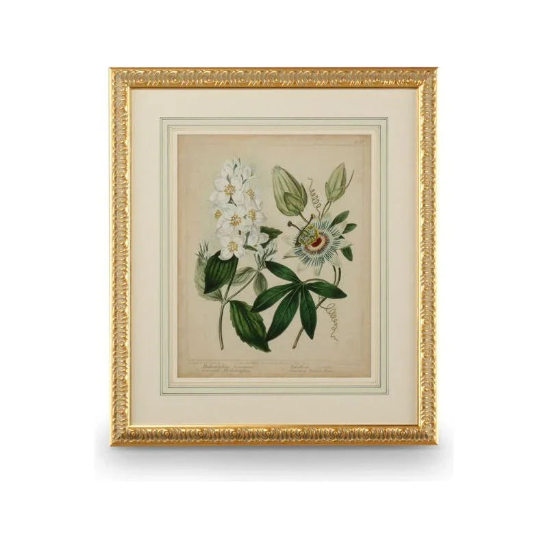 Cottage Florals II Wood Framed Artwork-Framed Wall Art-Chelsea House-LOOMLAN