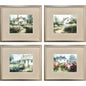 Cottage Garden Green Framed Wall Art 4PC