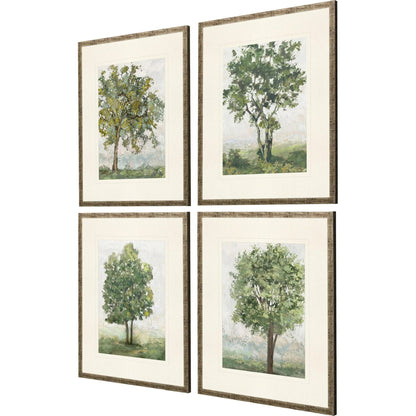 Countryside Growth Framed Wall Art 4PC