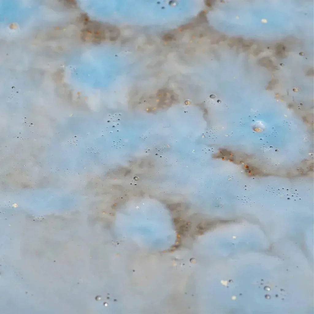 Crustacean Grey Ceramic Bowl