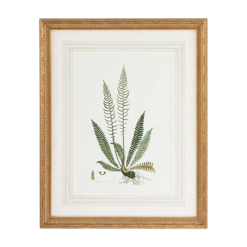 Curtis Ferns Gold Framed Artwork-Framed Wall Art-Chelsea House-Ferns III-LOOMLAN