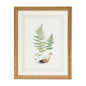 Curtis Ferns Gold Framed Artwork-Framed Wall Art-Chelsea House-Ferns II-LOOMLAN