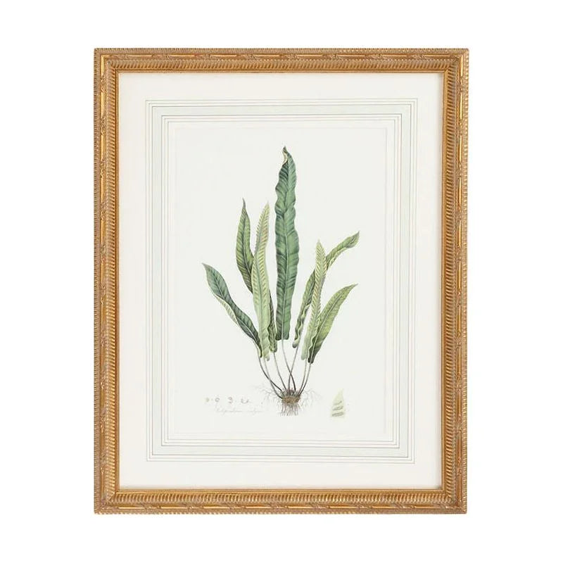 Curtis Ferns Gold Framed Artwork-Framed Wall Art-Chelsea House-Ferns IV-LOOMLAN