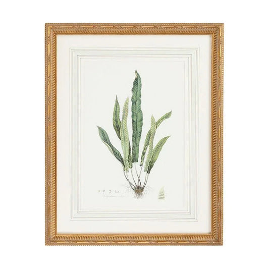 Curtis Ferns Gold Framed Artwork-Framed Wall Art-Chelsea House-Ferns IV-LOOMLAN