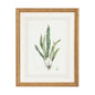 Curtis Ferns Gold Framed Artwork-Framed Wall Art-Chelsea House-Ferns IV-LOOMLAN
