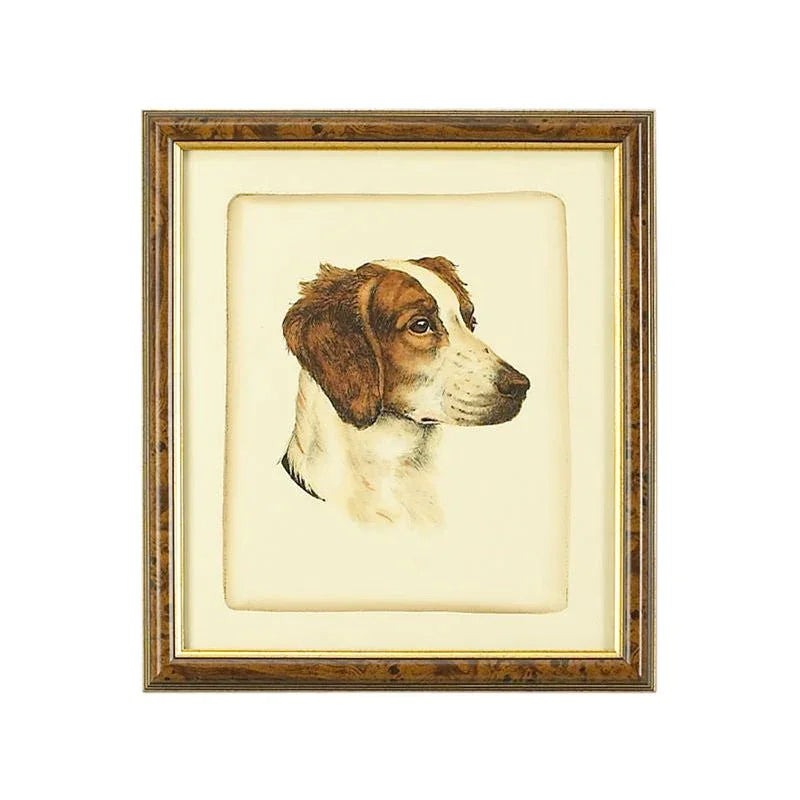 Danchin Brittany Spaniel Gold Framed Artwork-Framed Wall Art-Chelsea House-LOOMLAN
