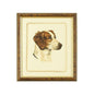 Danchin Brittany Spaniel Gold Framed Artwork-Framed Wall Art-Chelsea House-LOOMLAN