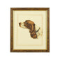 Danchin Cocker Spaniel Gold Framed Artwork-Framed Wall Art-Chelsea House-LOOMLAN