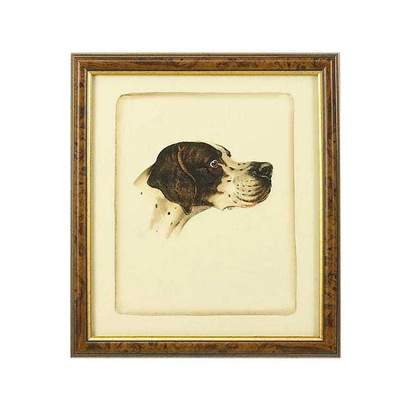 Danchin Pointer Gold Framed Artwork-Framed Wall Art-Chelsea House-LOOMLAN