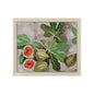 Decorative Fig I Gold Framed Artwork-Framed Wall Art-Chelsea House-LOOMLAN