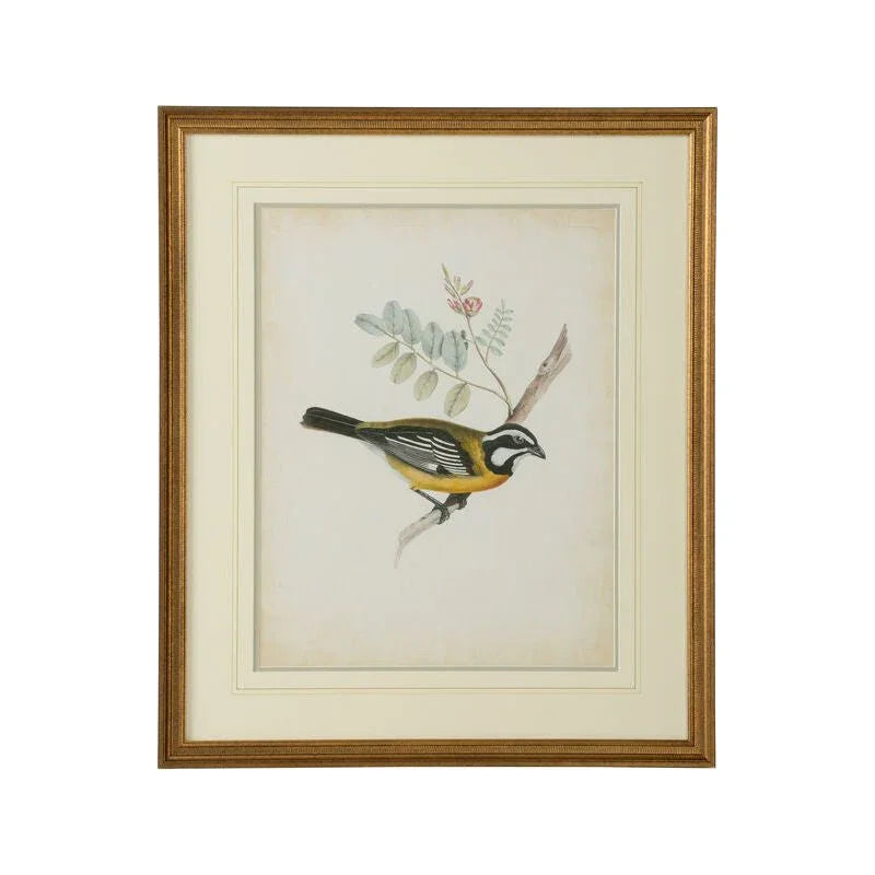 Delicate Birds Giclee Printed Artwork-Framed Wall Art-Chelsea House-Birds V-LOOMLAN