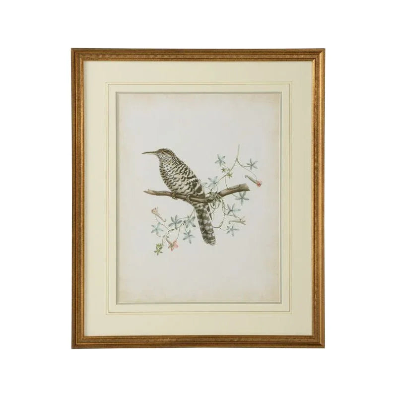 Delicate Birds Giclee Printed Artwork-Framed Wall Art-Chelsea House-Birds IV-LOOMLAN