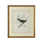 Delicate Birds Giclee Printed Artwork-Framed Wall Art-Chelsea House-Birds III-LOOMLAN