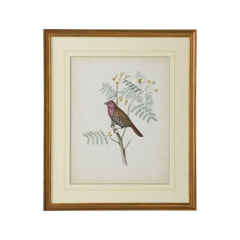 Delicate Birds Giclee Printed Artwork-Framed Wall Art-Chelsea House-Birds II-LOOMLAN
