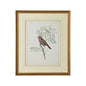 Delicate Birds Giclee Printed Artwork-Framed Wall Art-Chelsea House-Birds II-LOOMLAN