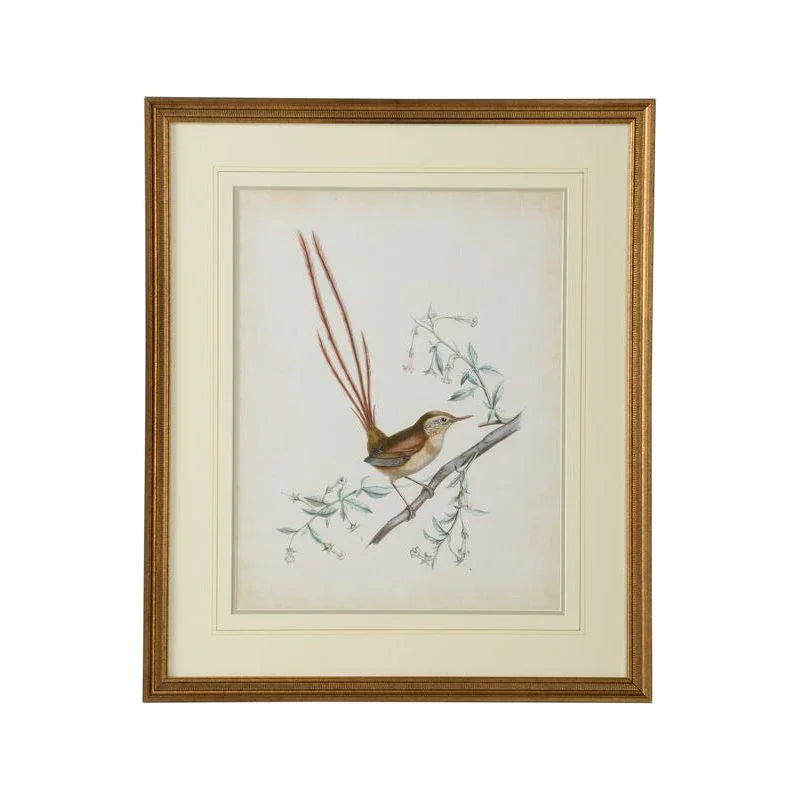 Delicate Birds Giclee Printed Artwork-Framed Wall Art-Chelsea House-Birds I-LOOMLAN