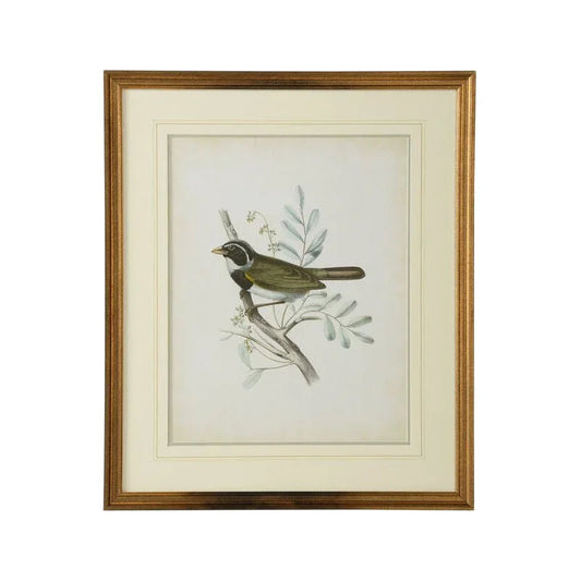 Delicate Birds Giclee Printed Artwork-Framed Wall Art-Chelsea House-Birds VI-LOOMLAN