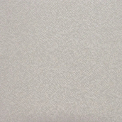 Desi Counter Chair (Set of 2) Beige - LOOMLAN - Zuo Modern - Counter Stools