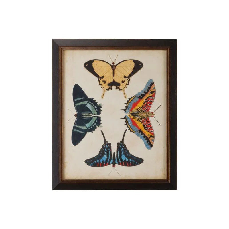 Display Of Butterflies Black Framed Artwork-Framed Wall Art-Chelsea House-Butterflies III-LOOMLAN