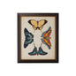 Display Of Butterflies Black Framed Artwork-Framed Wall Art-Chelsea House-Butterflies III-LOOMLAN
