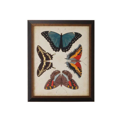 Display Of Butterflies Black Framed Artwork-Framed Wall Art-Chelsea House-Butterflies I-LOOMLAN