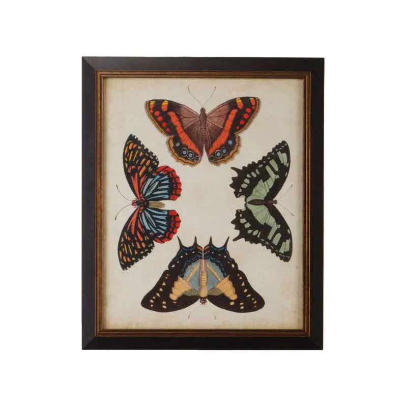 Display Of Butterflies Black Framed Artwork-Framed Wall Art-Chelsea House-Butterflies IV-LOOMLAN