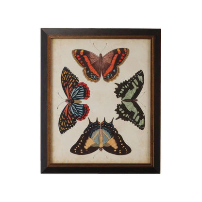 Display Of Butterflies Black Framed Artwork-Framed Wall Art-Chelsea House-Butterflies IV-LOOMLAN
