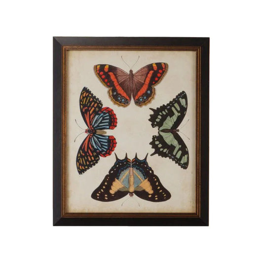 Display Of Butterflies Black Framed Artwork-Framed Wall Art-Chelsea House-Butterflies IV-LOOMLAN