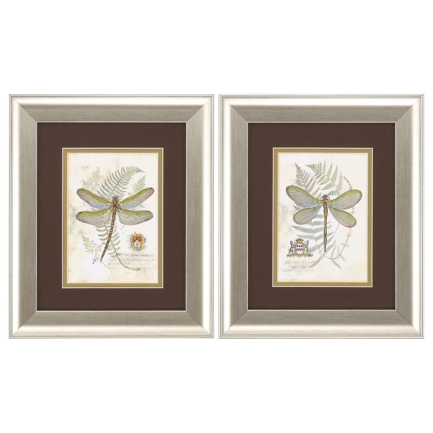 Dragonfly Neutral Framed Wall Art 2PC