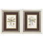 Dragonfly Neutral Framed Wall Art 2PC