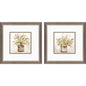 Earthy Garden Green Framed Wall Art 2PC