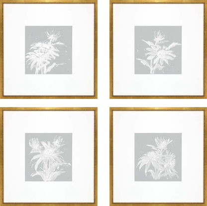 Echinacea Wood Blue Framed Wall Art 4PC
