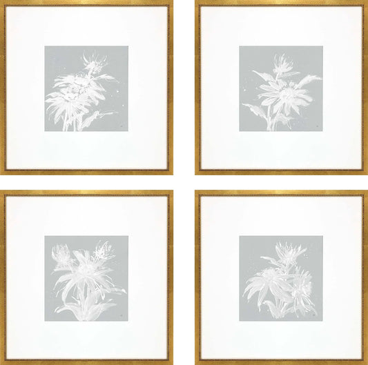 Echinacea Wood Blue Framed Wall Art 4PC