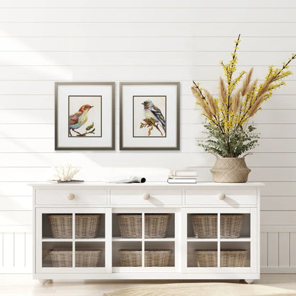Eco Bird I Orange Framed Wall Art 2PC