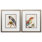 Eco Bird I Orange Framed Wall Art 2PC