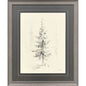 Elegant Pine Black Framed Wall Art