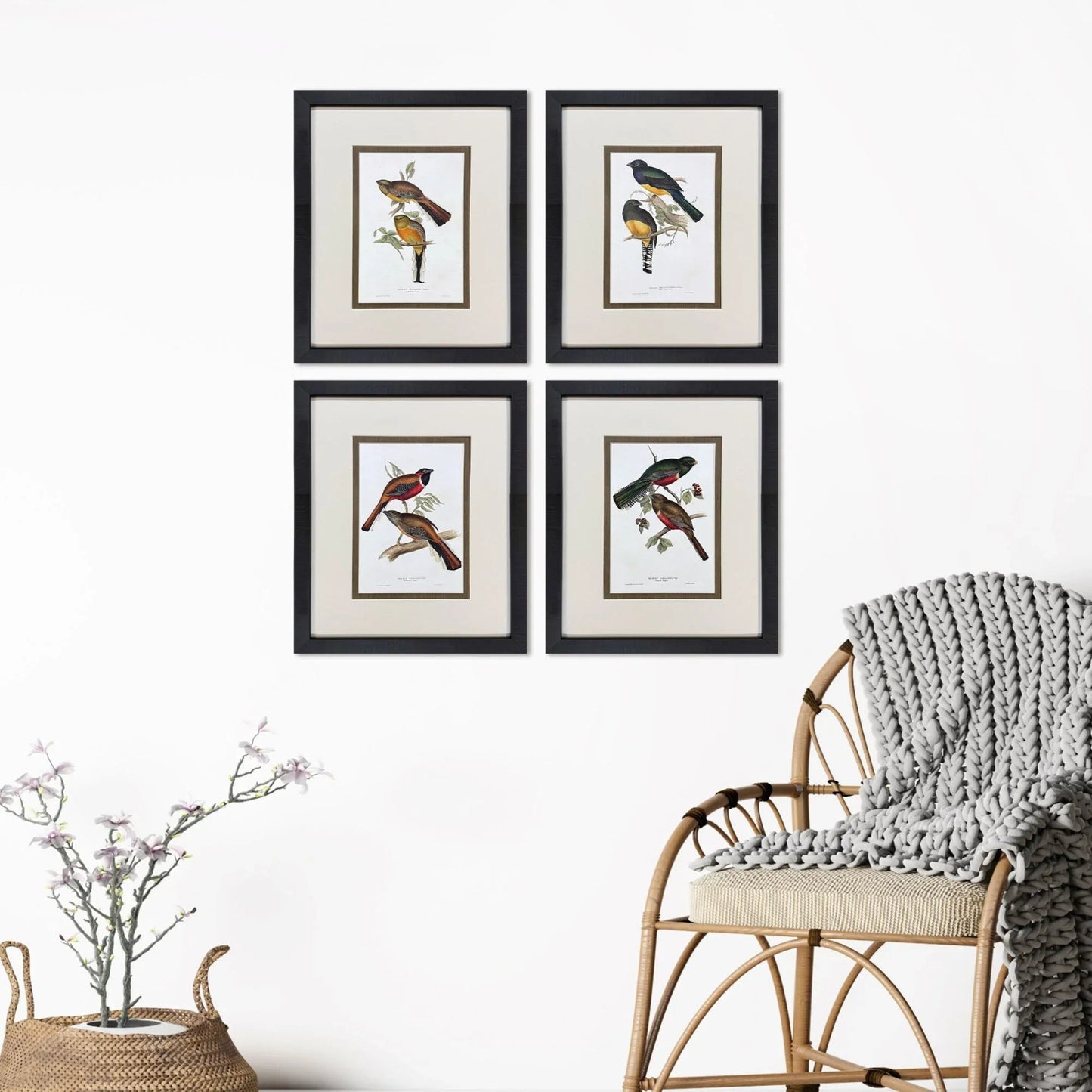 Elegant Trogons Multi Framed Wall Art 4PC