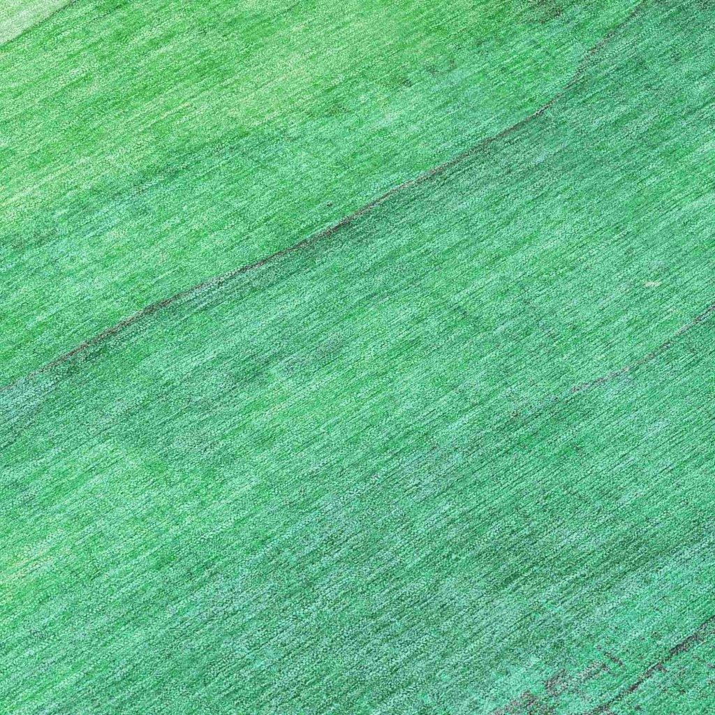 Elien Green Washable Indoor - Outdoor Rug - LOOMLAN - LOOMLAN Rugs - Outdoor Rugs