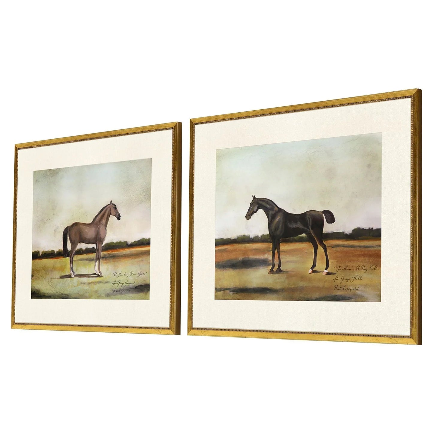 Equestrian Wood Multi Framed Wall Art 2PC