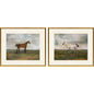 Equestrian Wood Multi Framed Wall Art 2PC