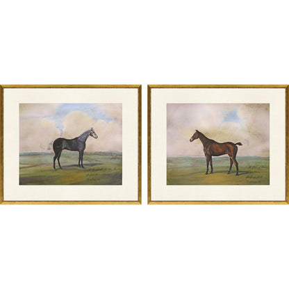 Equestrian Wood Multi Framed Wall Art 2PC